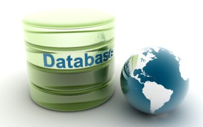 Jaki potencjał biznesowy mają zagraniczne bazy danych?