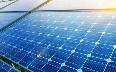 Jak bazy danych mogą pomóc w redukcji kosztów operacyjnych dla firm fotowoltaicznych?